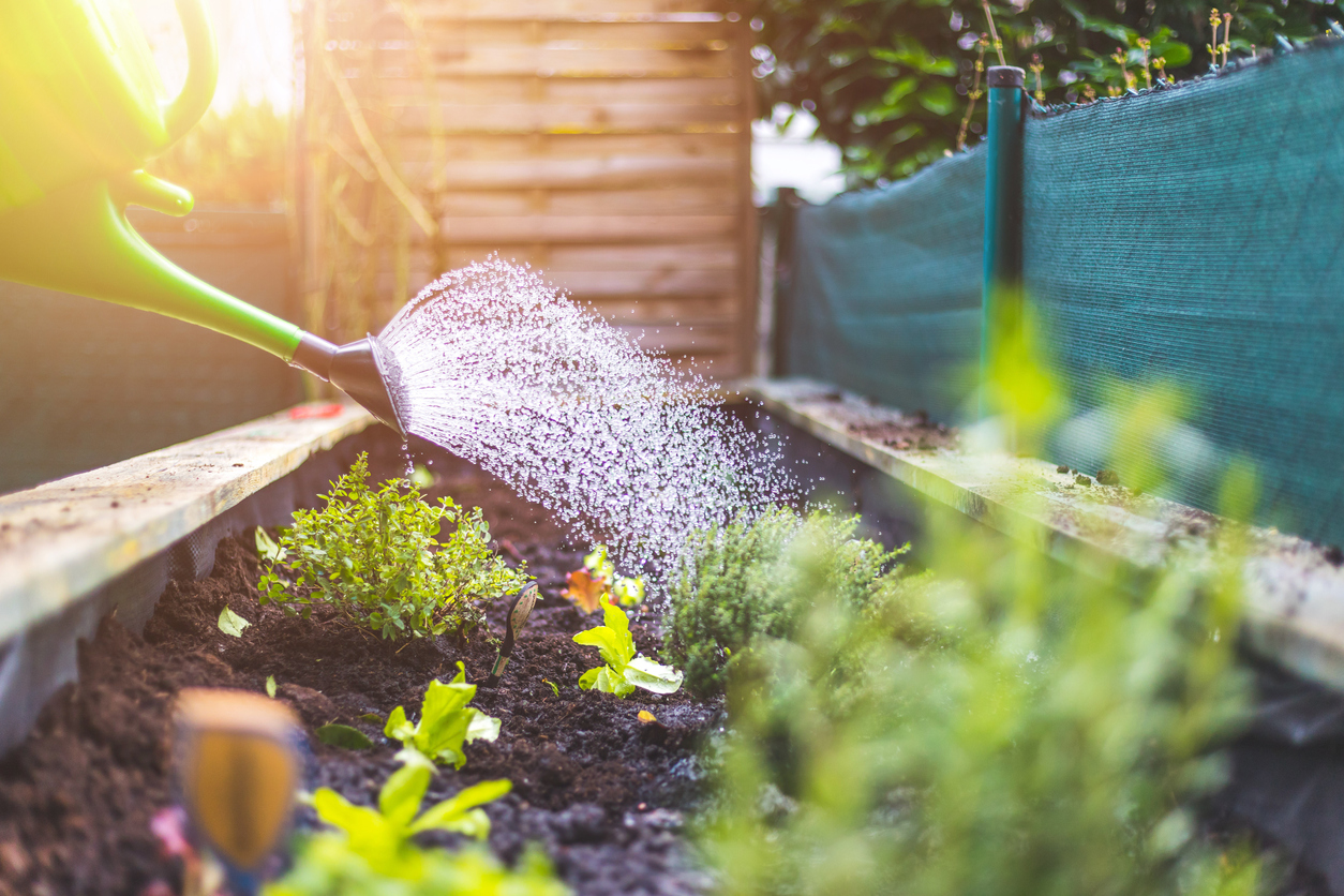 This Spring, Go Easy on the Fertilizer in Lawns and Gardens | LCA