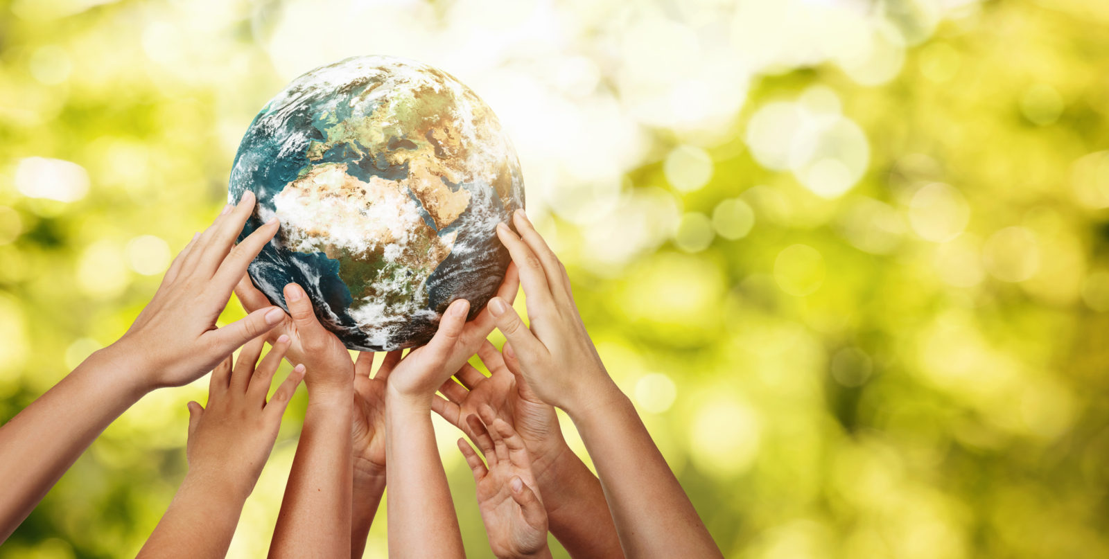 A picture of hands holding the earth for Earth Day 2021 | LCA