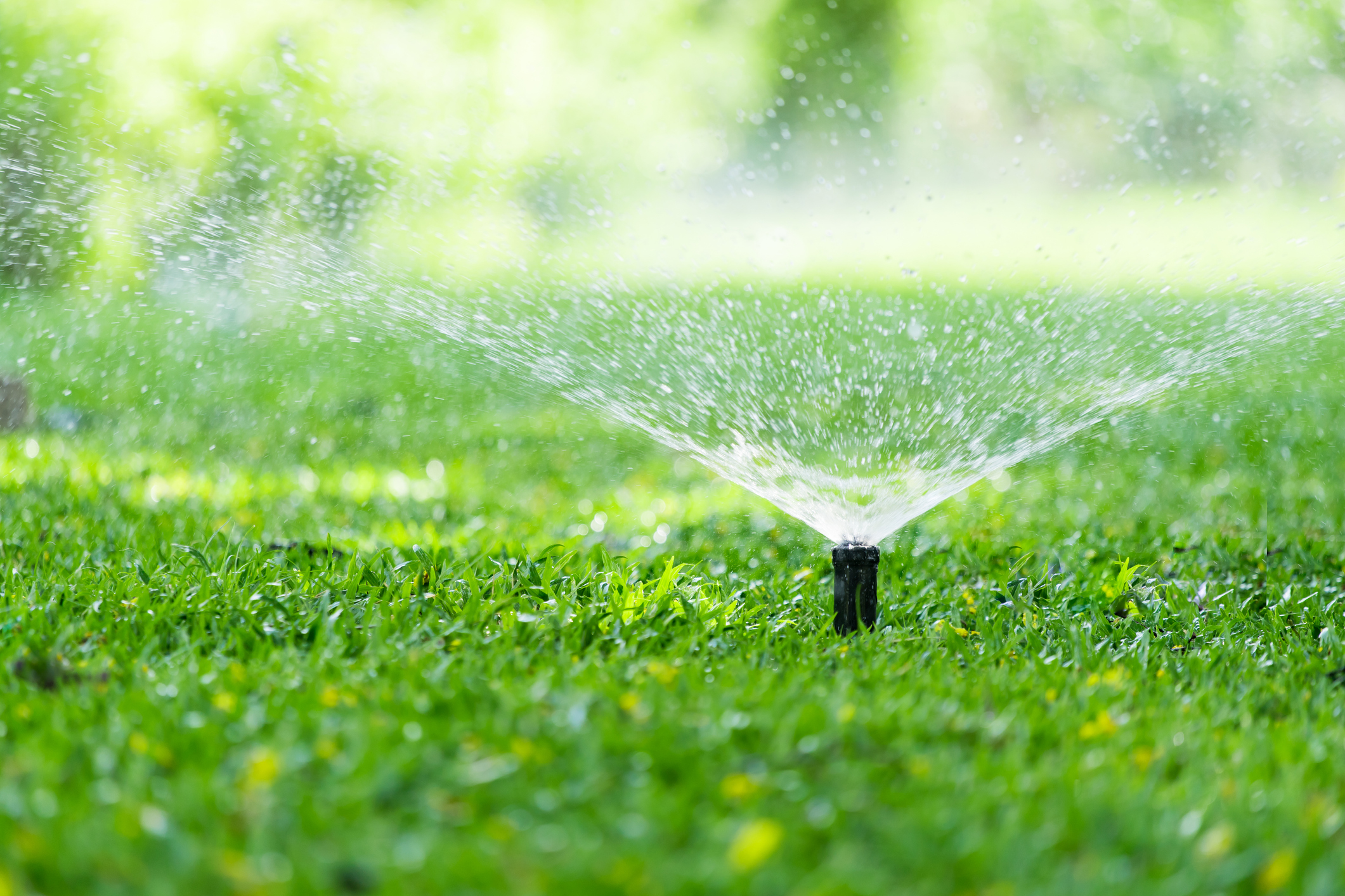 Sustainable Irrigation is Smart Irrigation