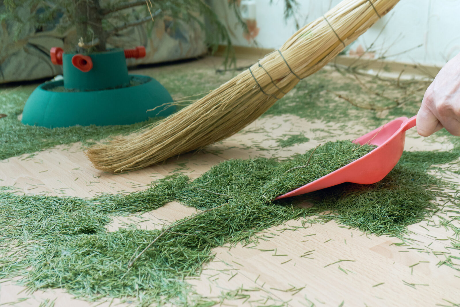 A picture of someone cleaning up pine needles with dustpan and brush for an LCA post on recycling your Christmas tree.