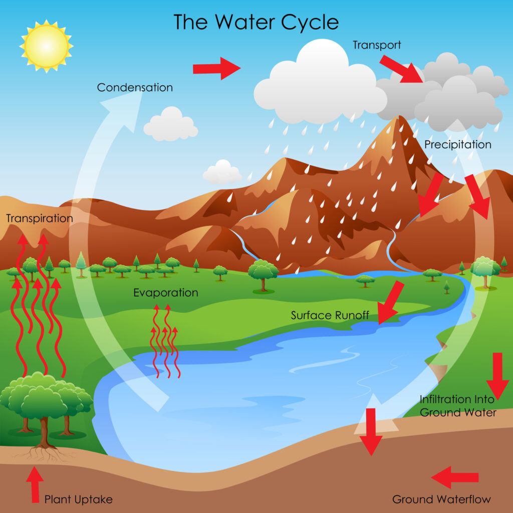Diagram showing the water cycle