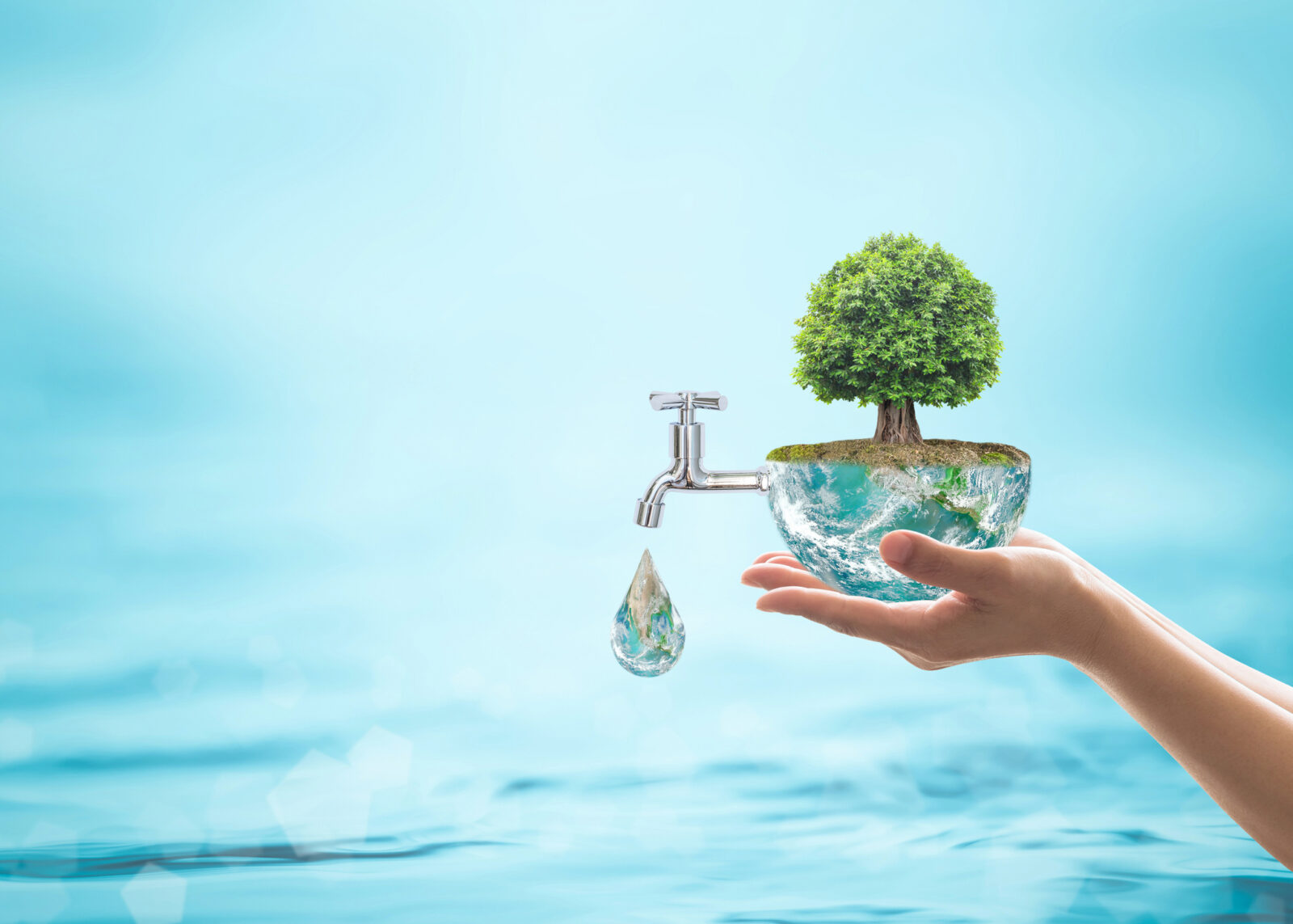 A digital picture of a hand holding a tree whose roots are water and lead to a faucet dripping water, for an LCA post on Source Water Protection.