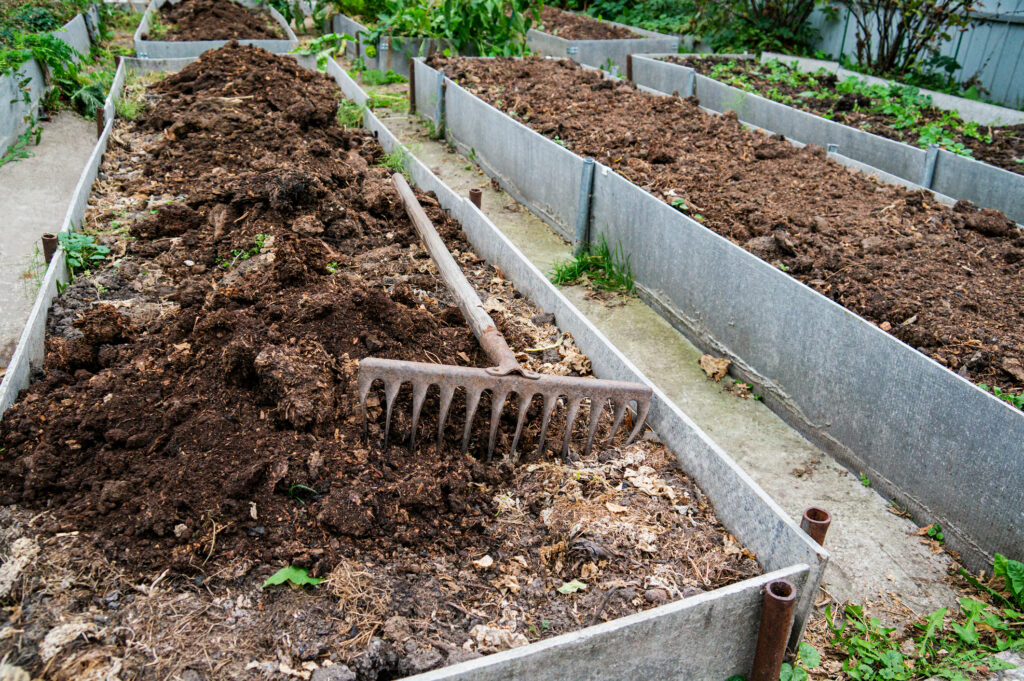 Adding mulch to a raised bed during fall cleanup helps prepare the bed for the next growing season. 
