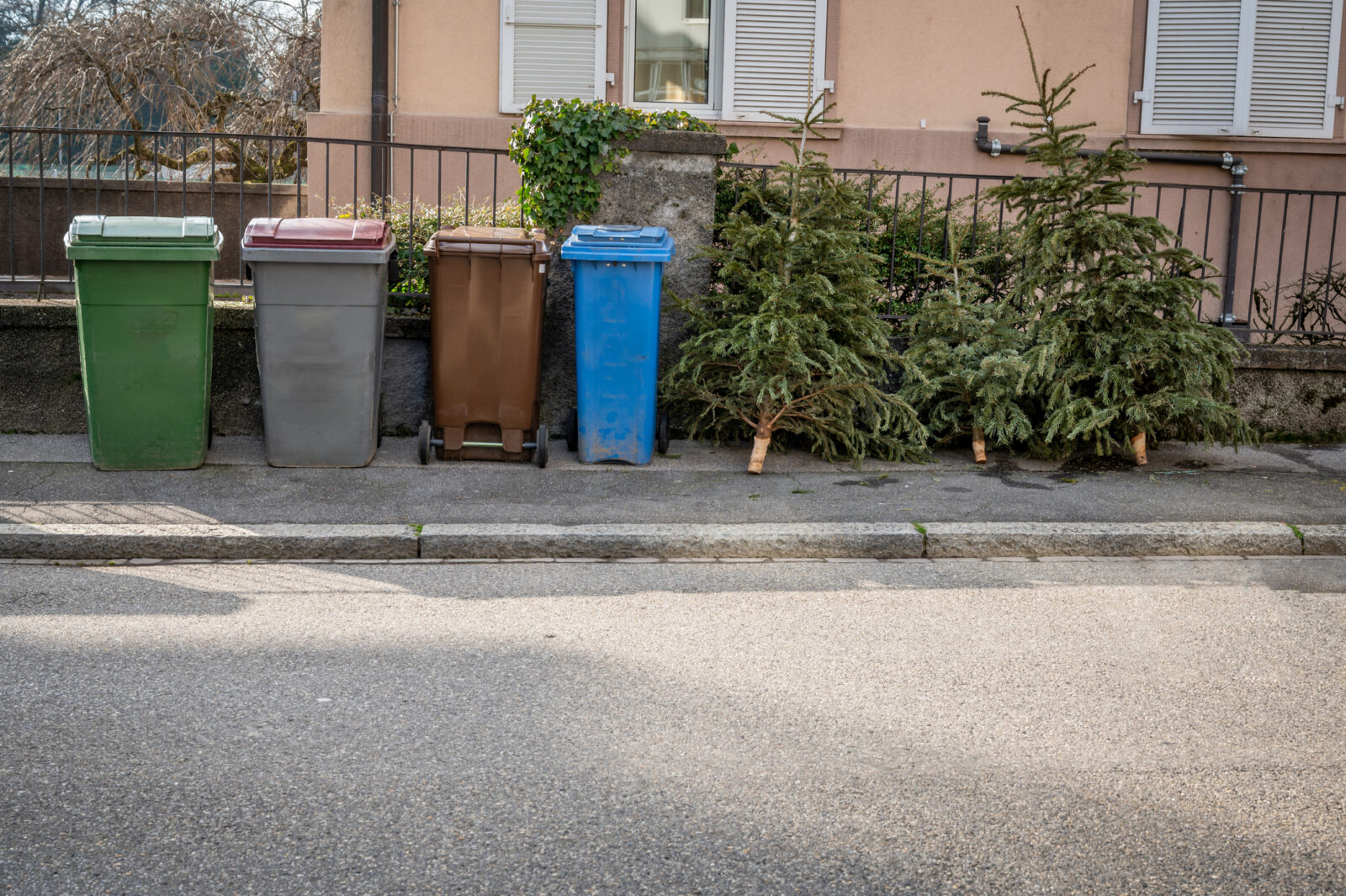 A picture of Christmas trees leaning up against a fence next to trash cans, for an LCA blog on recycling Christmas trees.