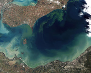 Lake Erie algae bloom