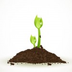  Realistic Green Sprouting Seeds | Free vector by Vecto2000